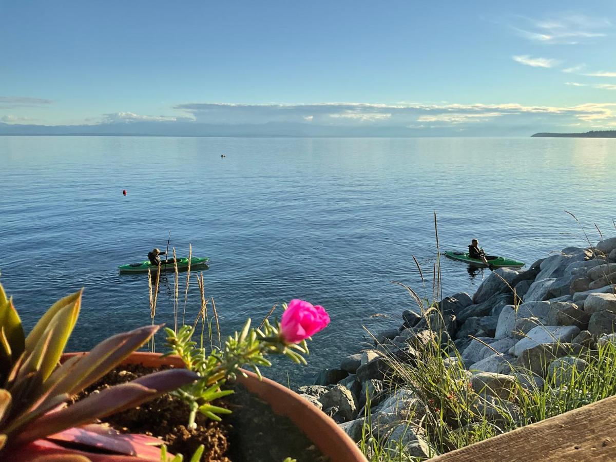 Blitz Beach House Oceanside Suite Powell River Dış mekan fotoğraf