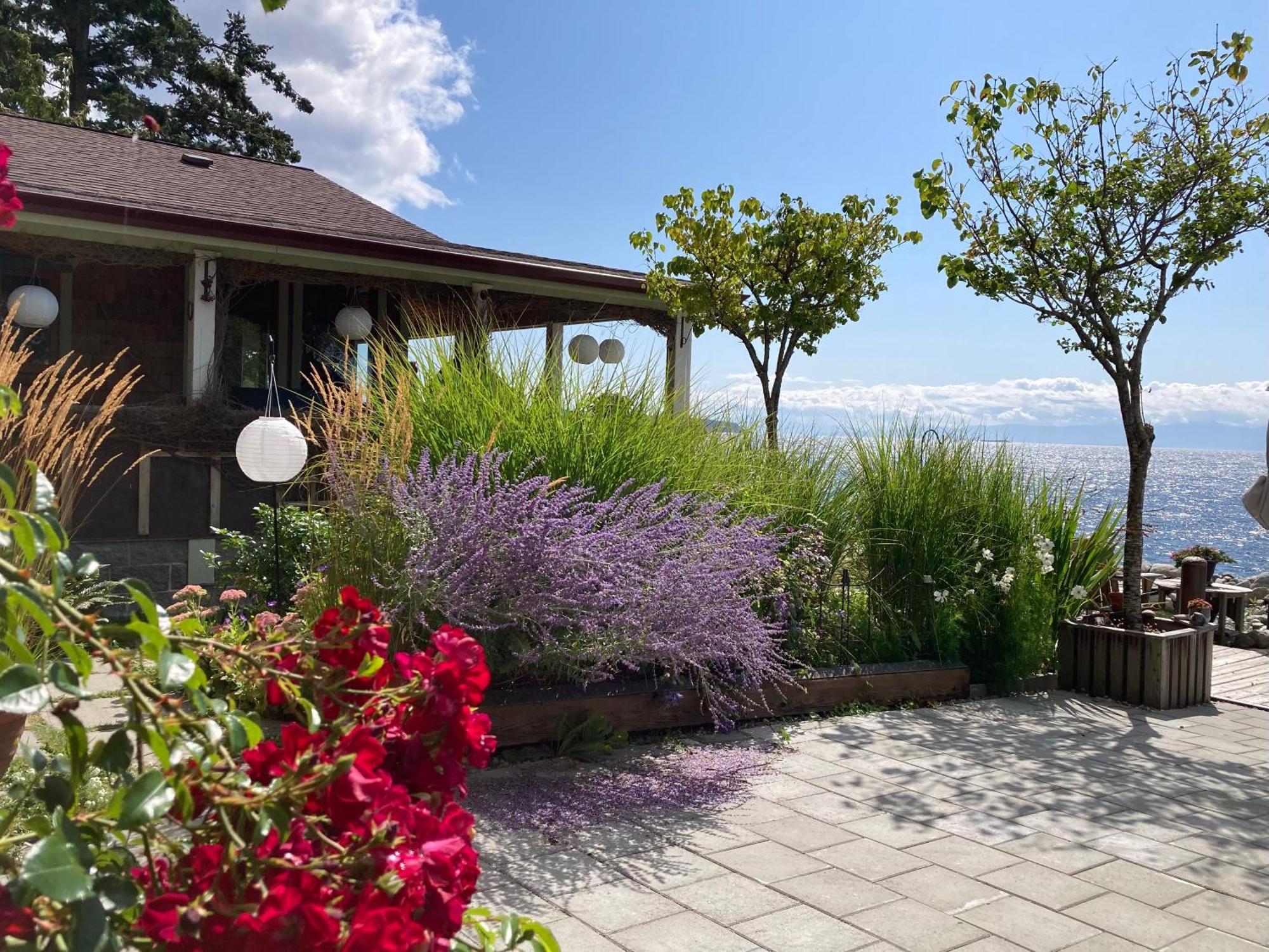 Blitz Beach House Oceanside Suite Powell River Dış mekan fotoğraf