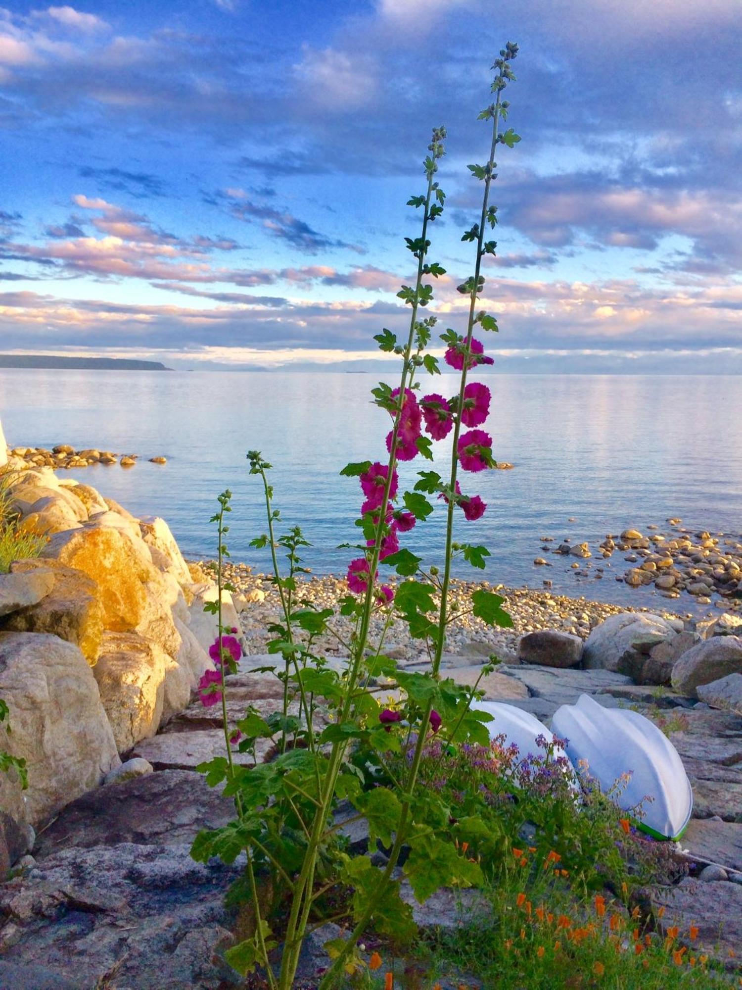 Blitz Beach House Oceanside Suite Powell River Dış mekan fotoğraf